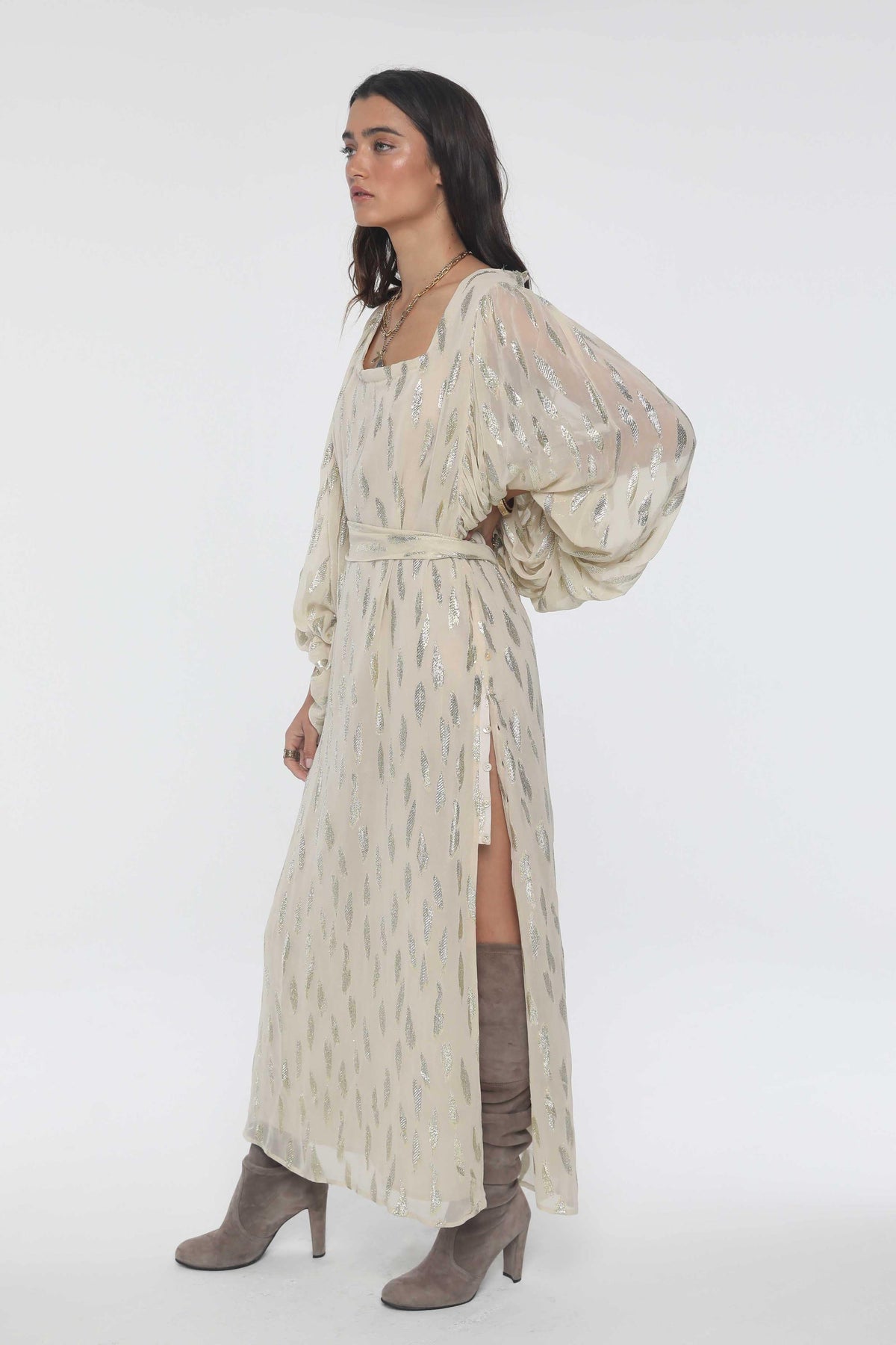 Celebration Gossamer Maxi Dress